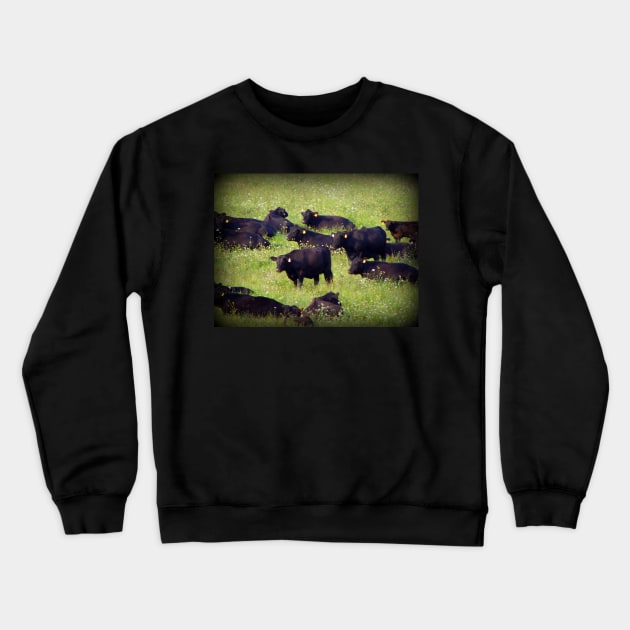 Country Farm Photography Art Farmland Cows Crewneck Sweatshirt by tamdevo1